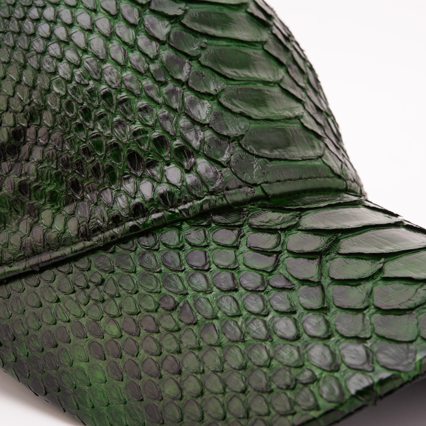 Boss Green  Python Leather Cap