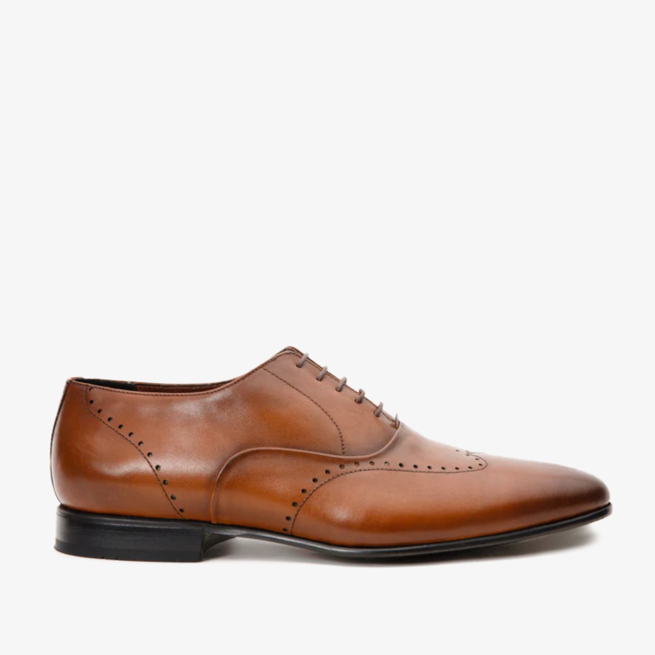 The Roma Tan Leather Wingtip Oxford Men Shoe