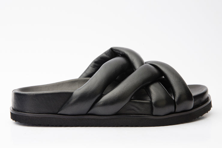 PAPATYA BLACK