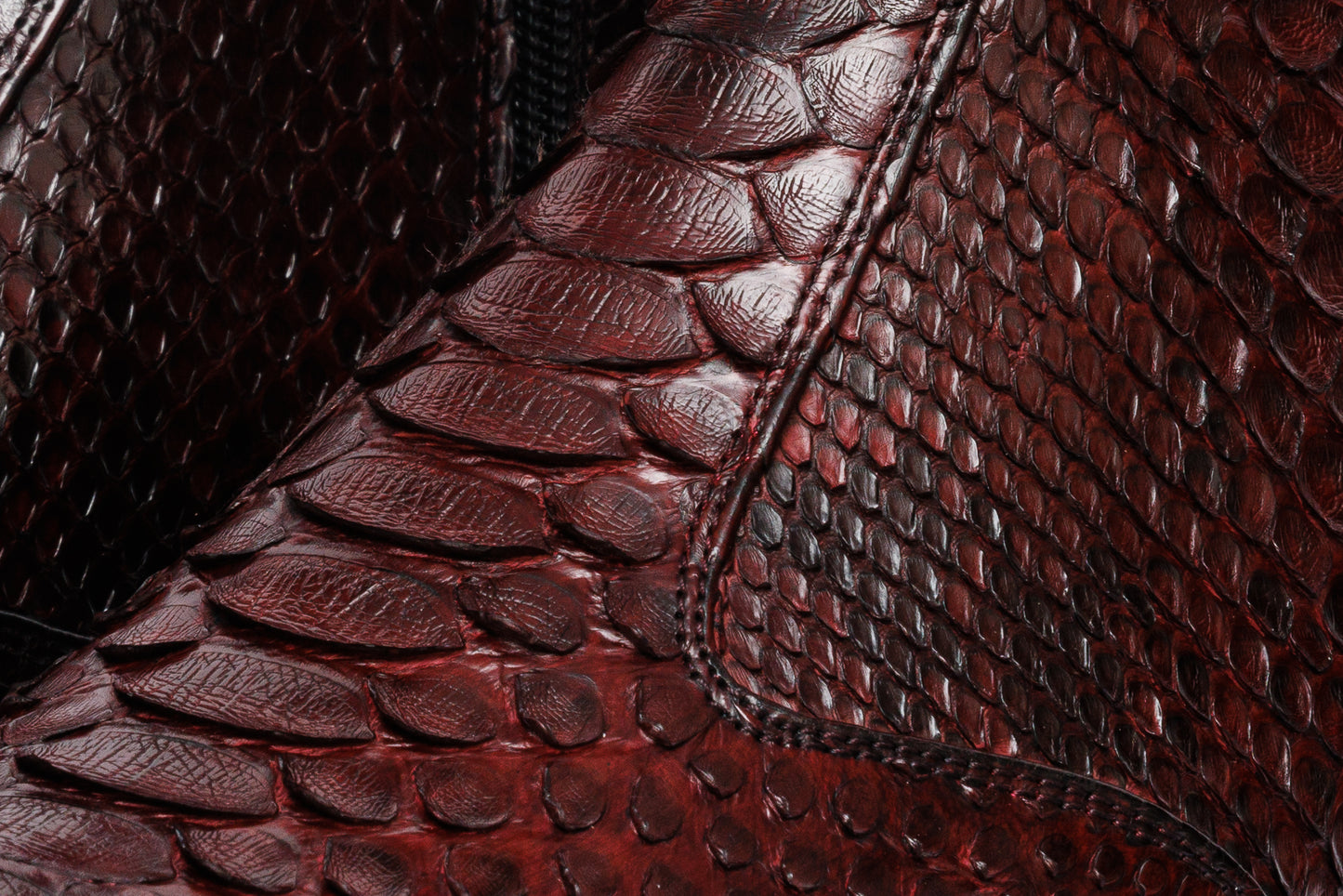 The Boss Burgundy Pythn Snk Zip-Up Leather Men Boot Limited Edition