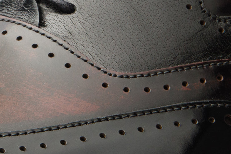 The Dicle Black/Burgundy Wingtip Semi Brogue Derby Shoe