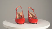 POTOMAC RED (230 07)