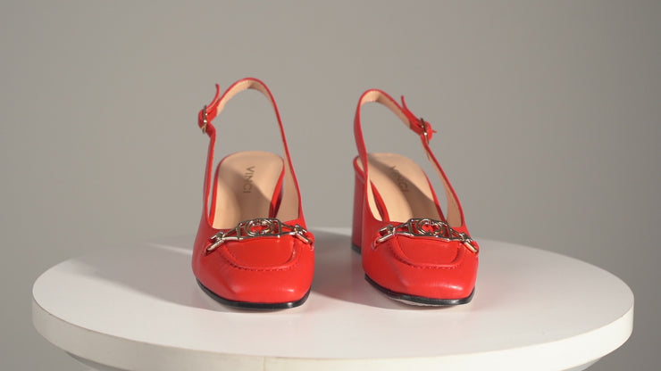 POTOMAC RED (230 07)