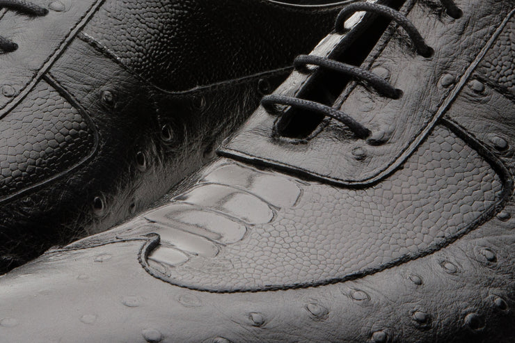 Alabama Black Wingtip Oxford Shoe