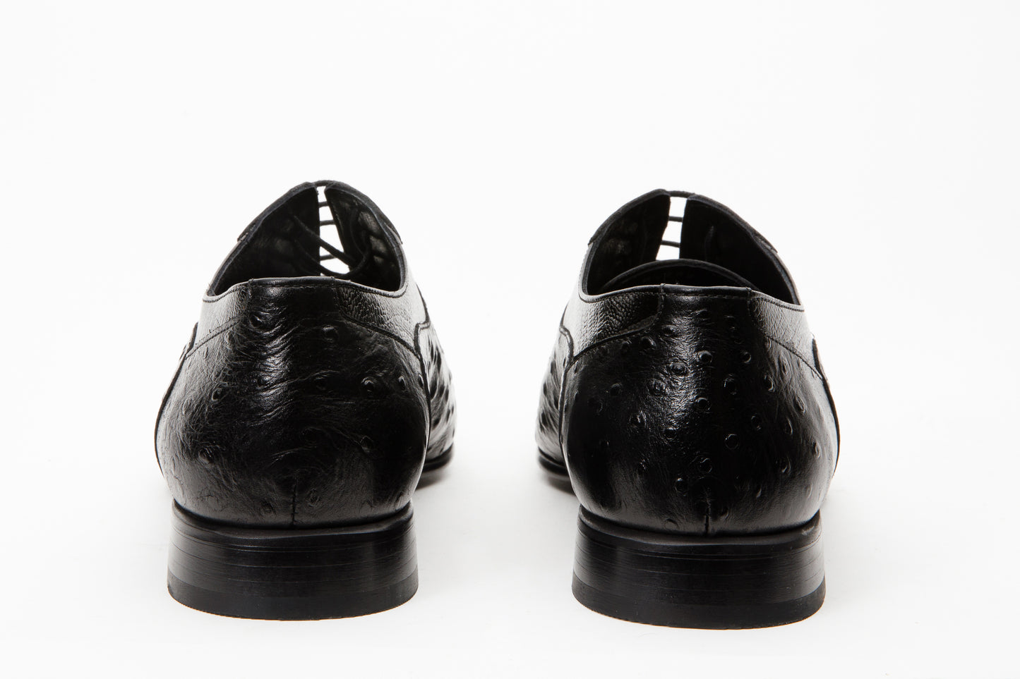 The Alabama Black Wingtip Oxford Men Shoe