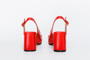 POTOMAC RED (230 07)